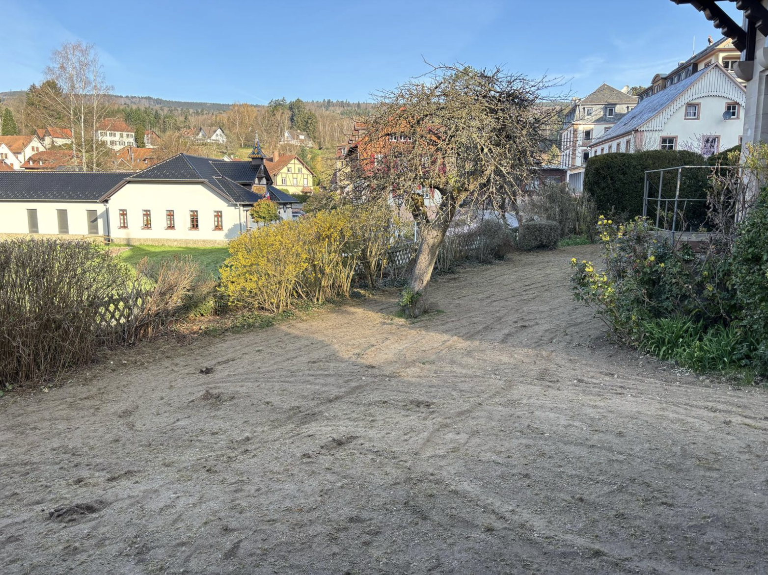 Réalisation : pose de gazon naturel 🌿